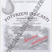 Svalové řetězce